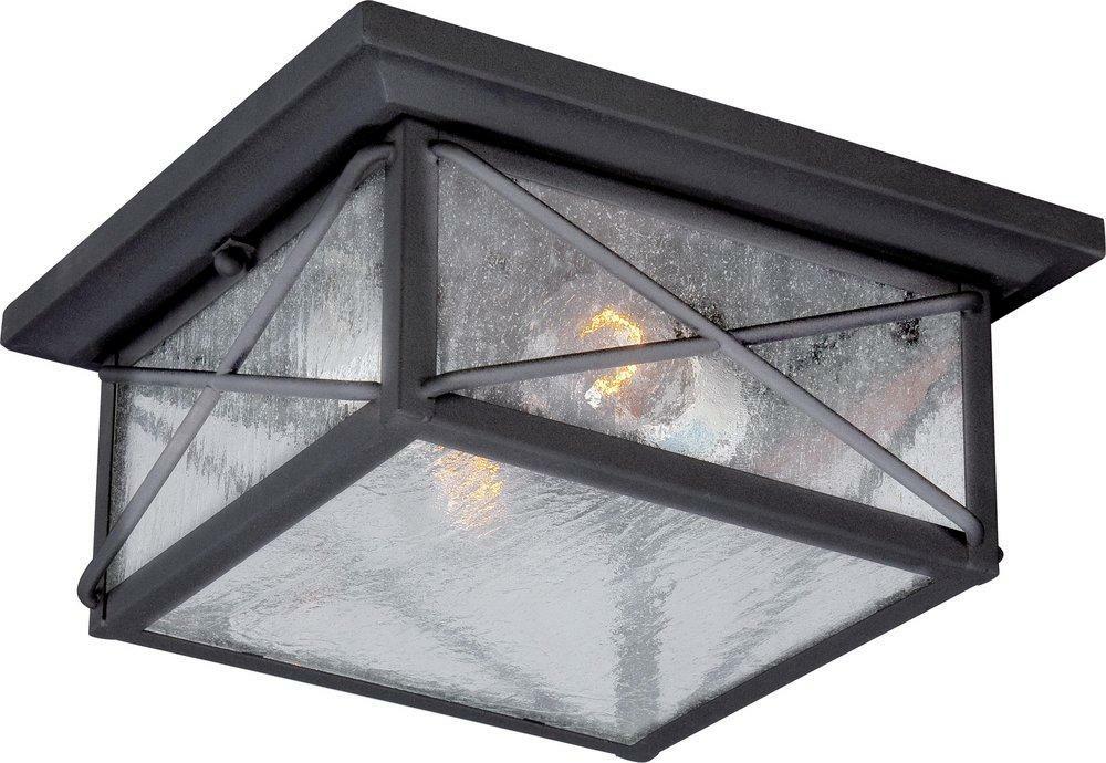 2-Light Outdoor Flushmount Fixture In Textured Black Outdoor Ceiling Lighting Textured Black